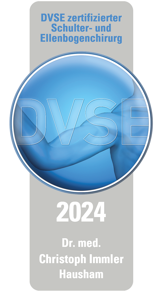 Die Auszeichnung für die DVSE Zertifizierung 2024.